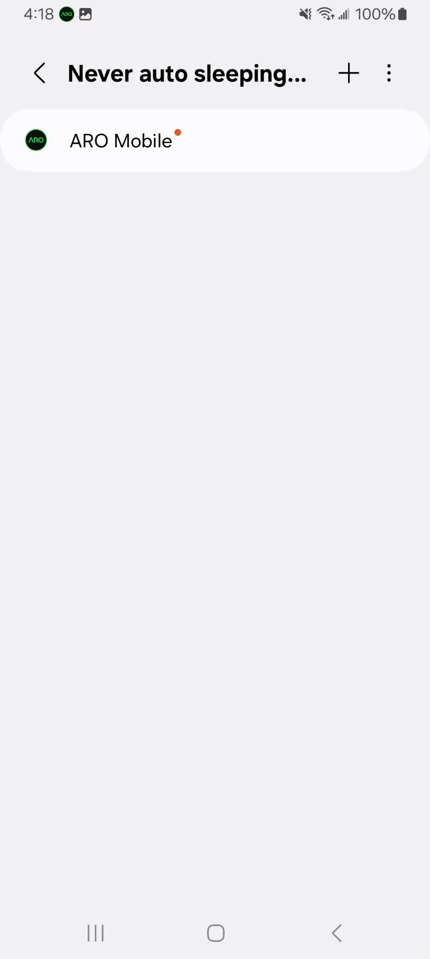 Step 3.3 - Add to Never Auto Sleeping Apps
